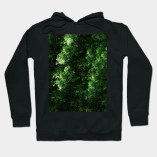 Fresh Lush Green Nature Forest Hoodie